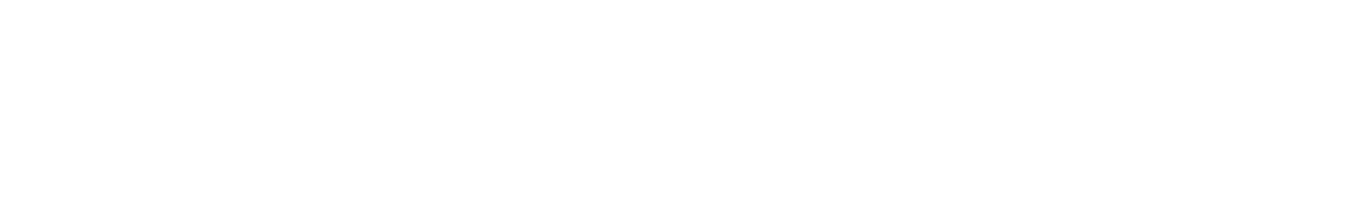 Riviera Web Studio